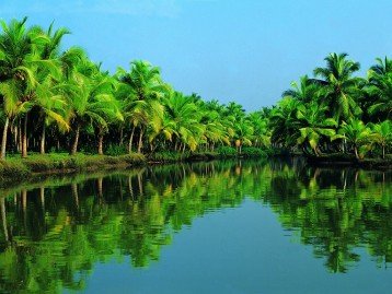 COCHIN / KUMARAKOM / ALLEPPEY / KOVALAM 6 DAYS/ 5 NIGHTS 