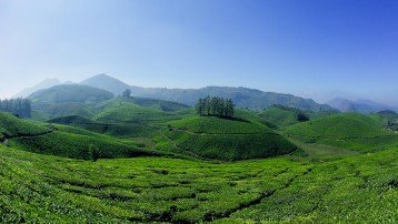 COCHIN / MUNNAR /THEKKADY / KUMARAKAM/ ALLEPPEY/ KOVALAM