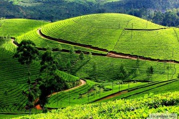 Ooty Tour Package 02 Nights 03 Days