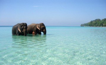 3 Nights & 4 Days  Port Blair